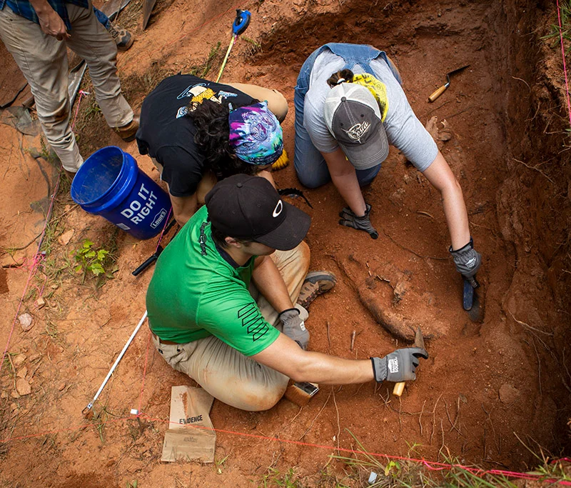 students in field on dig