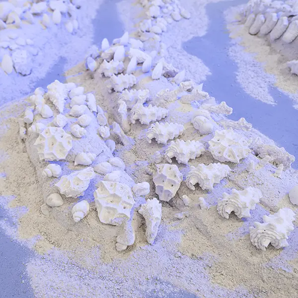 Installation detail with shells.