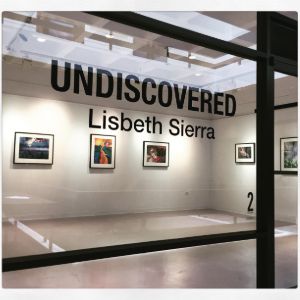 Undiscovered Art Show