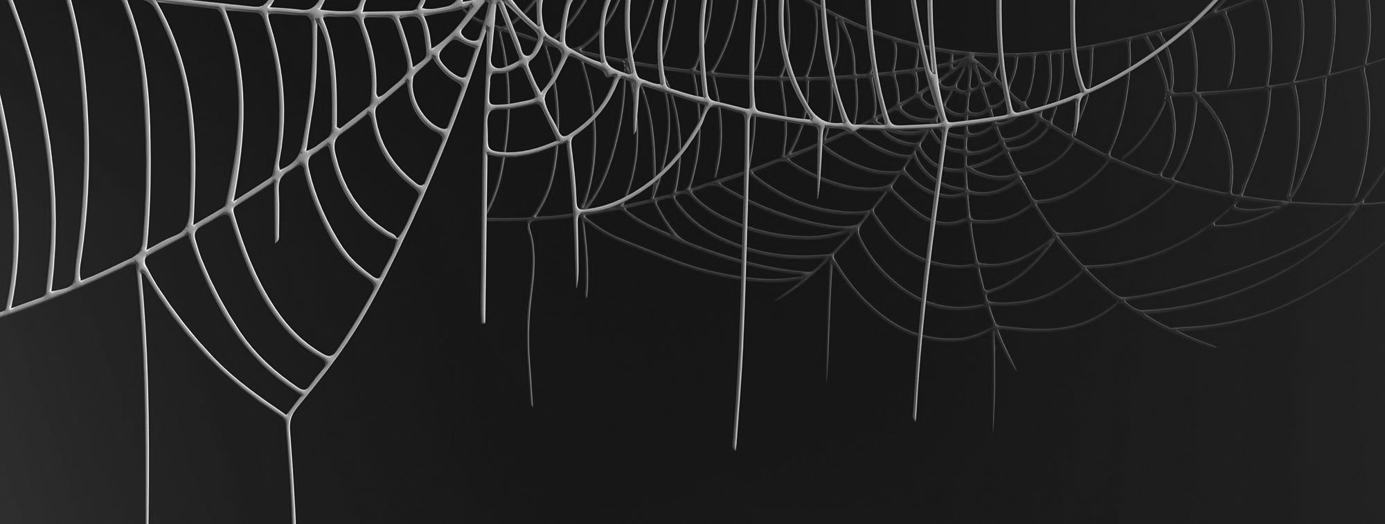 cobwebs