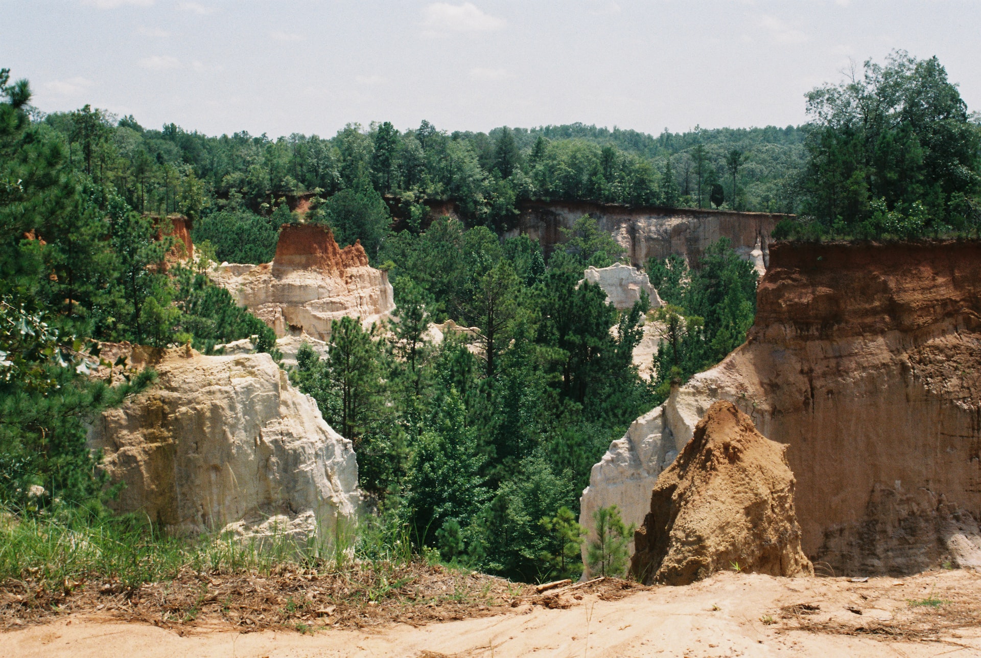 Providence Canyon in Georgia, which was formed by geological changes in the area