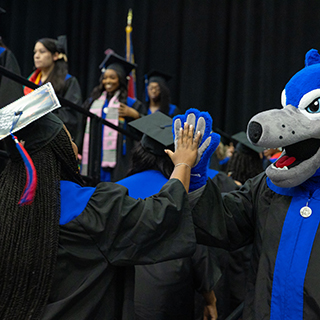 UWG student high-fiving Wolfie at graduation. 