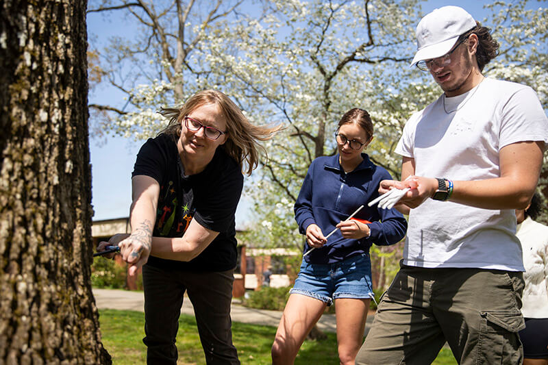Dr. Georgina DeWeese demonstrates tree coring