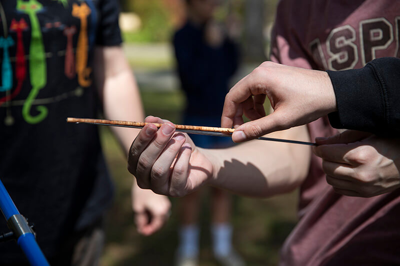 A tree coring sample
