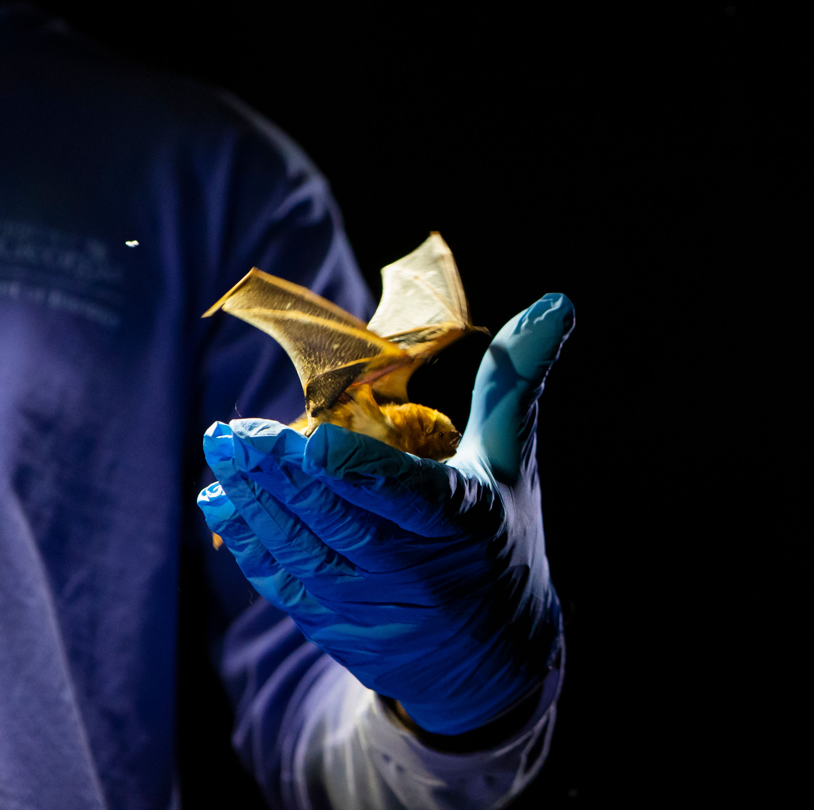 Student holding a bat