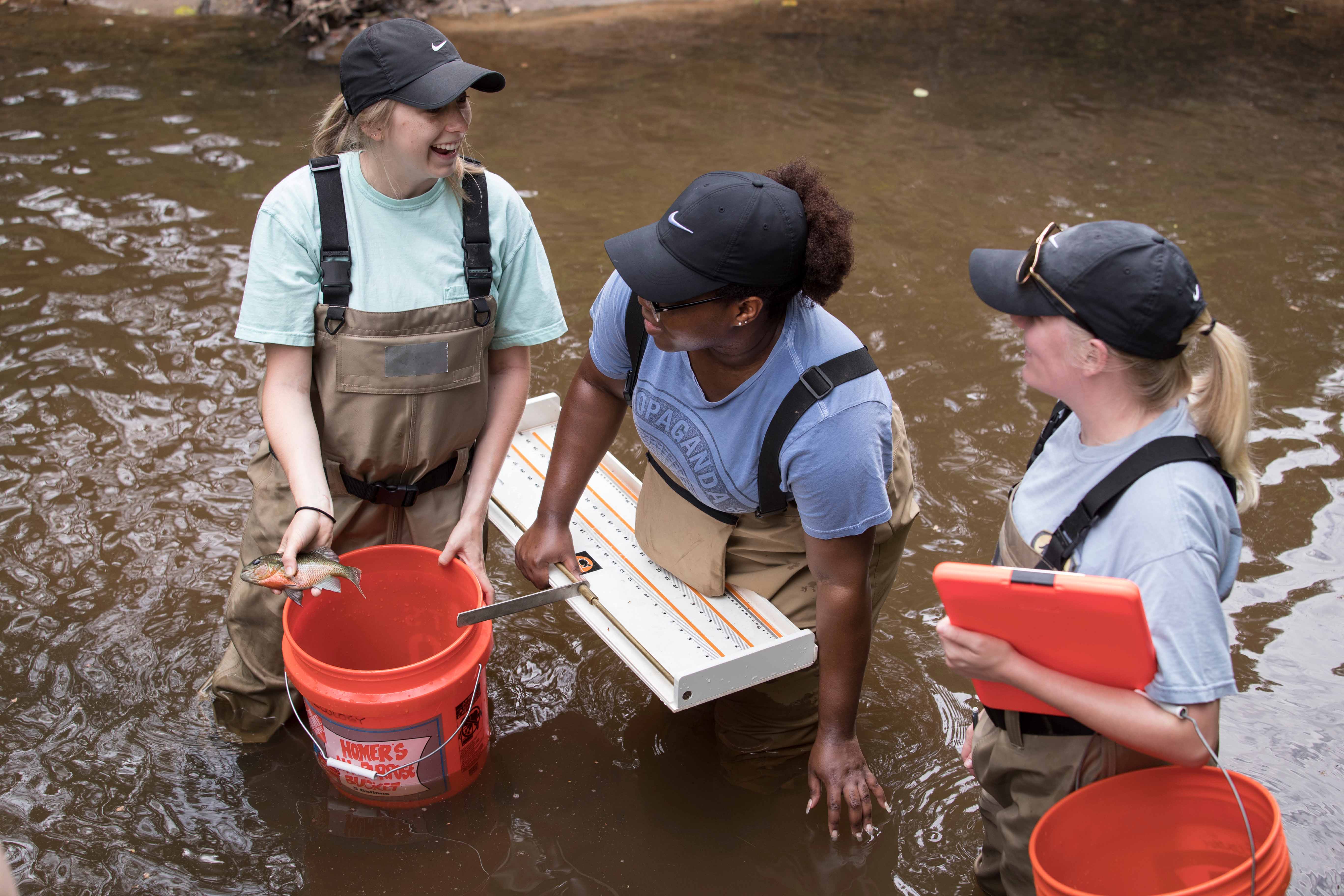 Students catching fish