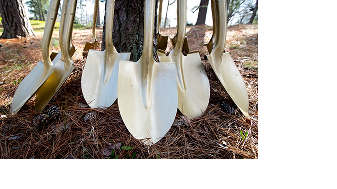 Shovels propped up against a tree