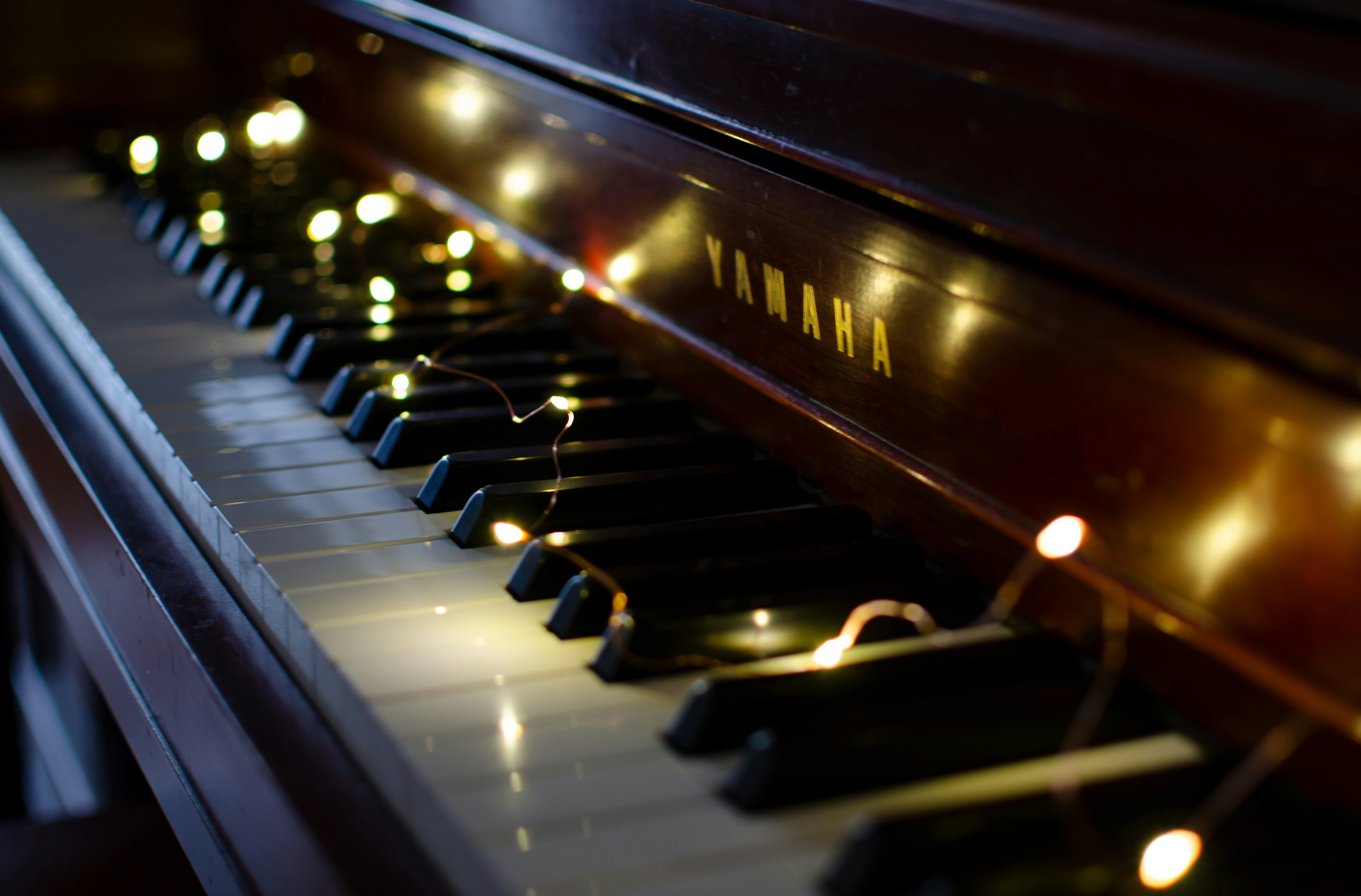 Close up of piano keys with string lights across them.